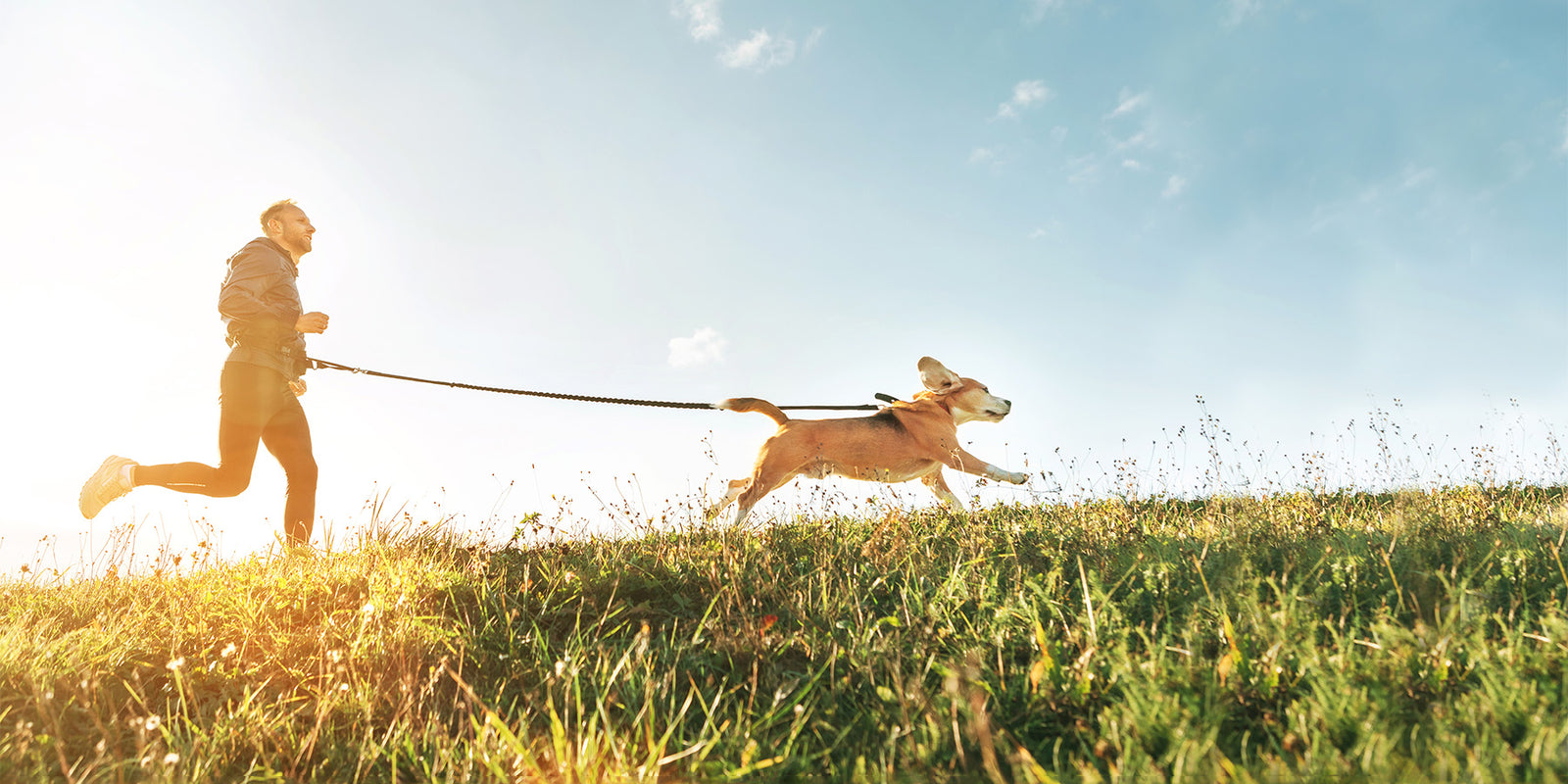 Aktiv ins Frühjahr starten mit Trainingspartner Hund