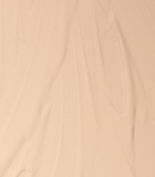 THE CONCEALER