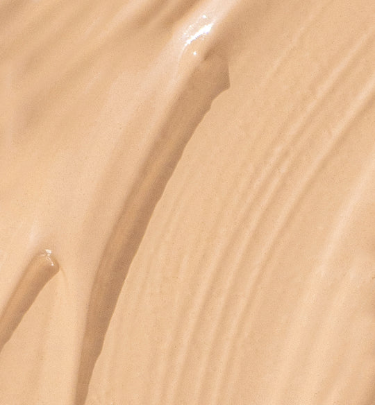 THE CONCEALER