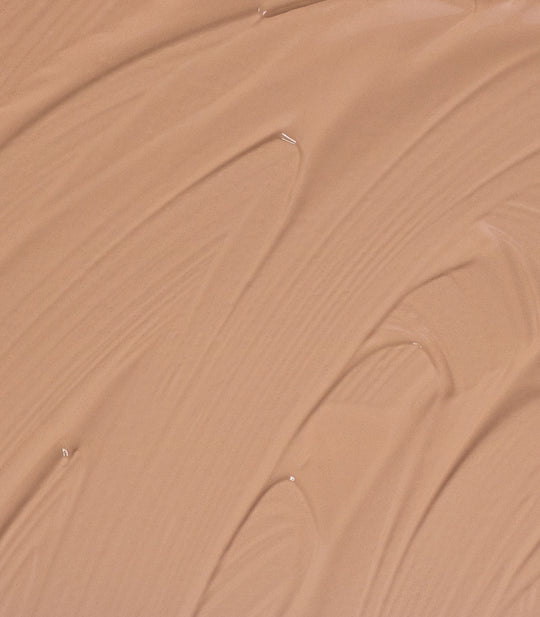 THE CONCEALER