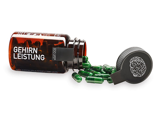 GEHIRNLEISTUNG